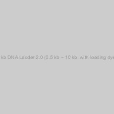 Image of 1 kb DNA Ladder 2.0 (0.5 kb ~ 10 kb, with loading dye)